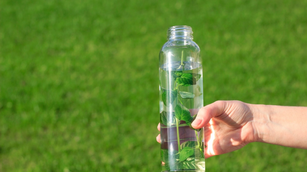 Ratten uit de tuin verjagen met een fles